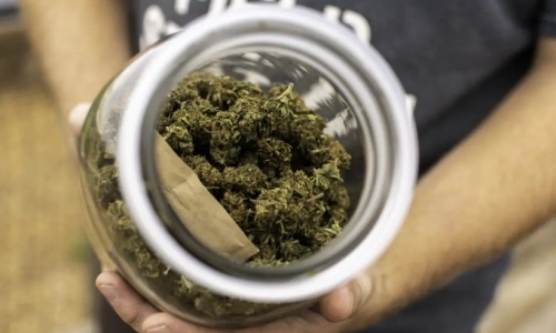 Bills advance to protect state employees who access medical cannabis