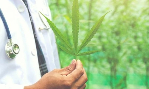 Four more medical Marijuana bills see House committee passage