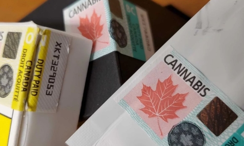 House of Commons Standing Committee on Finance calling for changes to Cannabis tax