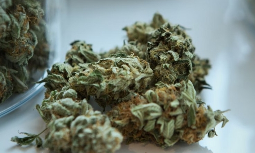 Medical Cannabis Bill Dies in Wisconsin Legislature