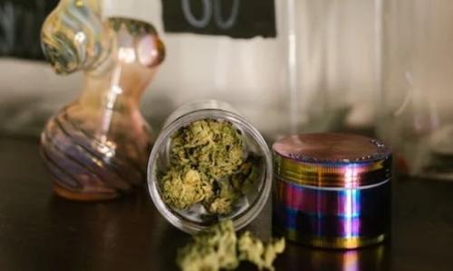 New Adult-Use Cannabis Business Licenses Approved in New York