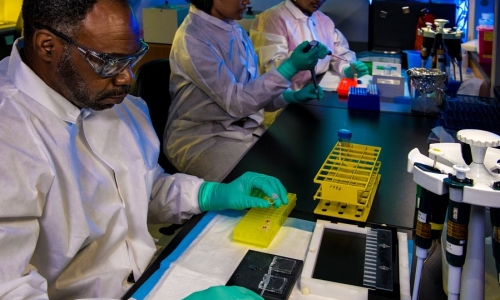 New Forensic Methods to Accurately Determine THC in Seized Cannabis