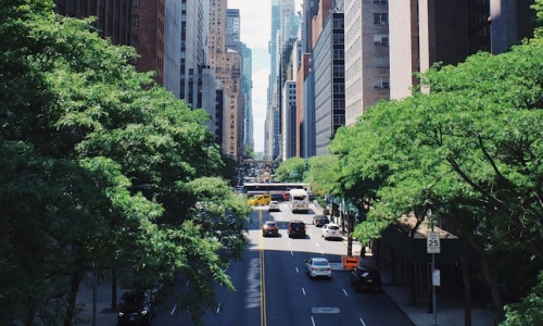 New York Judge Prevents Licensing Process Being Halted Again, But Legal Challenges Continue to Mount
