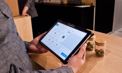 Ohio recreational Marijuana sales could begin at Medical dispensaries under proposal