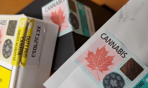 Over $200 million owed in Cannabis excise duty