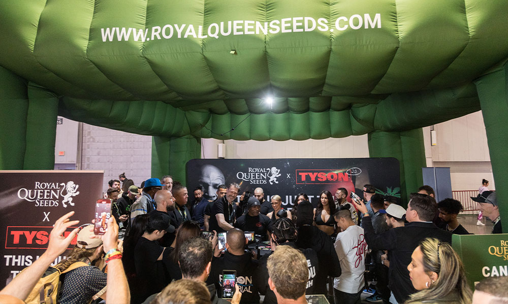 RQS x Tyson event at CHAMPS