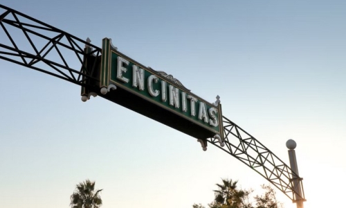 Three marijuana businesses have obtained state licenses to operate in Encinitas