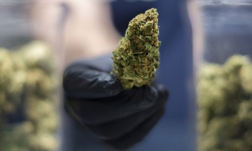 What Could Marijuana Rescheduling Do For Texas?