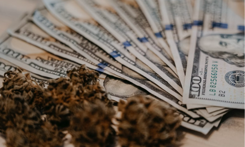 Biggest Challenges for the Cannabis Industry in 2024