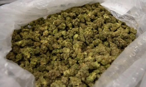 Black market, hemp products biggest challenges to Cannabis industry