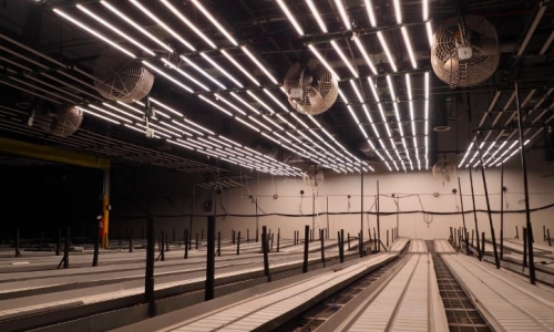 Colorado’s cooling Marijuana industry leaves many smaller industrial buildings vacant