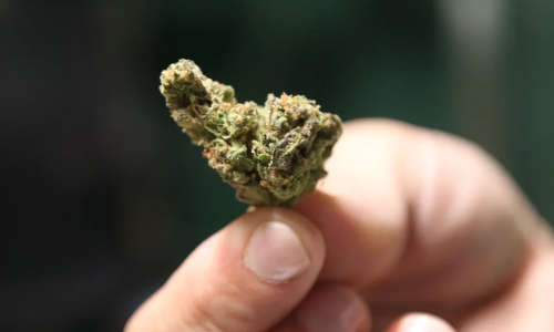 Combined Cannabis sales in New Mexico reach $1B