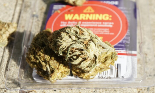 Creating a Symbol of Best Practices in Cannabis Regulatory Standards