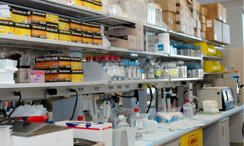 DEA and HHS Criticized for Inadequate Implementation of Cannabis Research Act