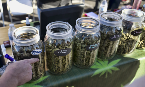 Eastern Band of Cherokee’s cannabis dispensary will open on 4/20