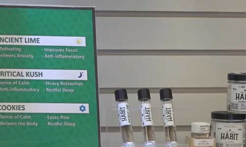 Governor Noem signs Hemp restriction bill into law