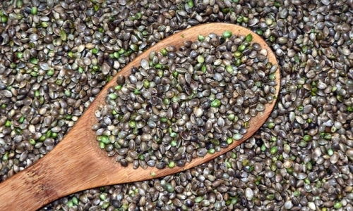 Hemp products can get you as high as Cannabis, but how?