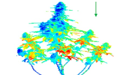 Hyperspectral imaging and machine learning classify Medical Cannabis