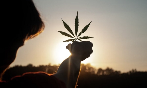 Is Rescheduling a Certainty for Cannabis?