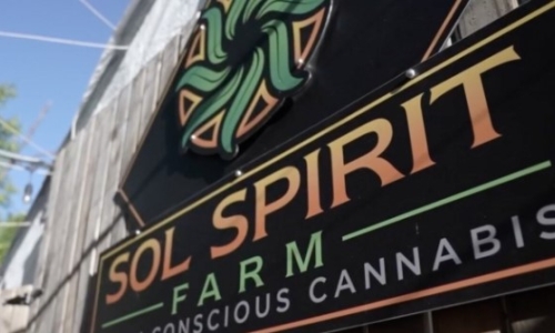 Legal Marijuana in other states hurts livelihood of California growers