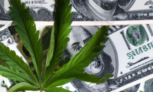 NY’s quarterly tax payments for Cannabis businesses ‘threatens the viability’ of all operators