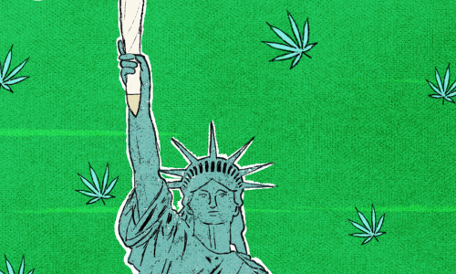New York State Senate Breaks Ground with Cannabis Legislation Boost