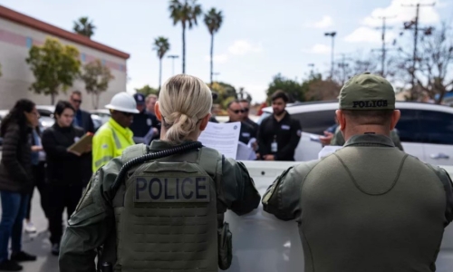 Black market Cannabis thrives in California despite legalization