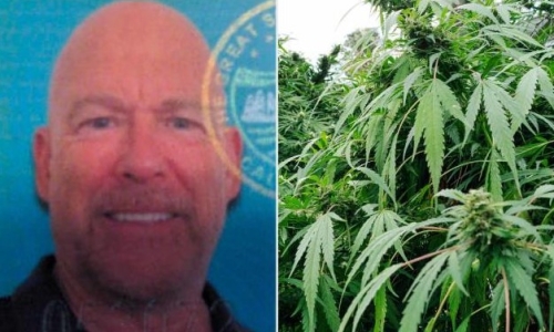 Con Artist Invented Fictional Pot Businesses To Scam Over $18M