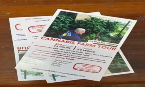 Exploiting the 'high': American caught for selling 'cannabis tours' in Colombia