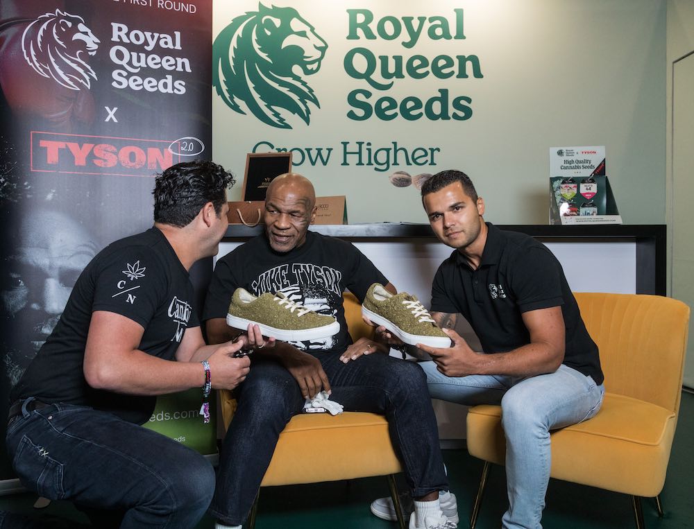 royal queen seeds and mike tyson