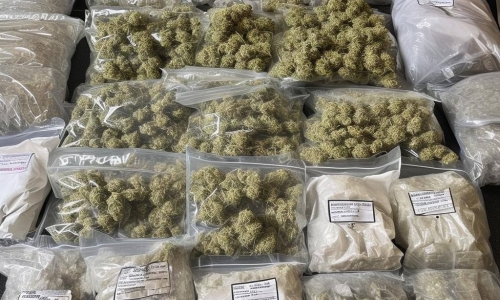 $321,000 worth of drugs, including 6kg of cannabis, seized in CNB operations