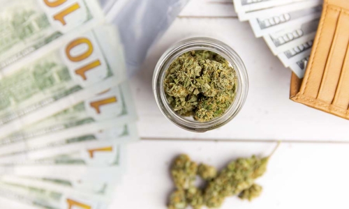 Nasdaq-Listed Cannabis Company Eyes Germany's New Hemp Legislation With Intense Interest