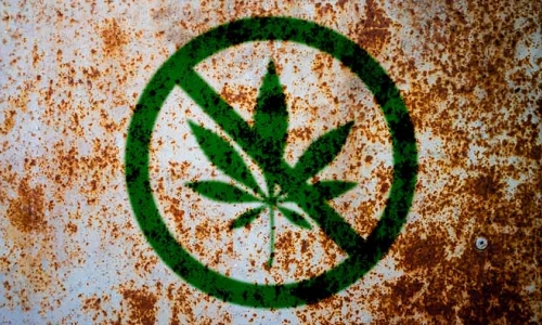 California's Hemp Restrictions Spark Industry Debate: 'Banning This Category Is Better For The Market,' Says Expert