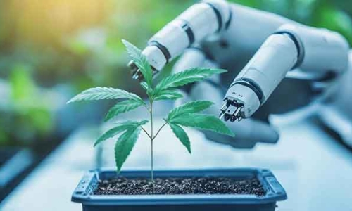 Budtenders Letting You Down? Meet The Weed Bot That Actually Knows What You Want