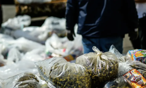 Law allowing NYC to padlock hundreds of suspected illegal pot shops ruled ‘unconstitutional’ by judge in bombshell ruling