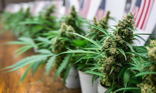 Nebraska Says Yes To Medical Cannabis After Years Of Failed Legalization Attempts: Here's What You Need To Know