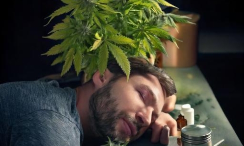 Is Daytime Cannabis Helpful After a Bad Night of Sleep?