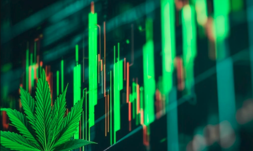 Why Cronos, Curaleaf, Green Thumb, and More Cannabis Stocks Are Spiking Today