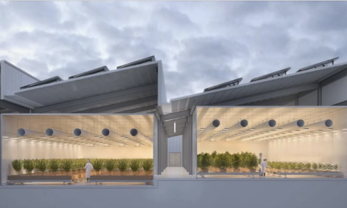 Cannabis centre plans to 'tap into global sector'