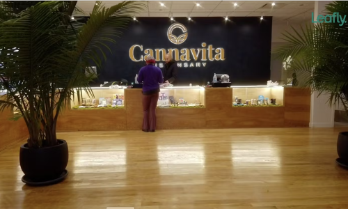 Cannavita Dispensary in Astoria, Queens combines fine-dining hospitality with cannabis retail, focusing on equity, social justice, and community engagement, offering a luxurious shopping experience.