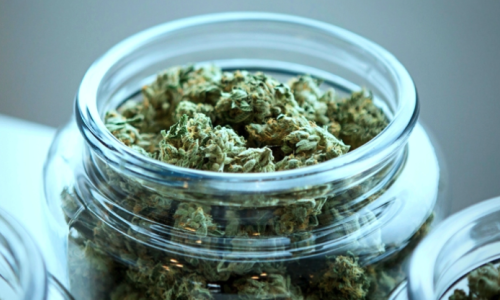 Male Cannabis Users Seem to Show Less Cognitive Decline, Study Finds