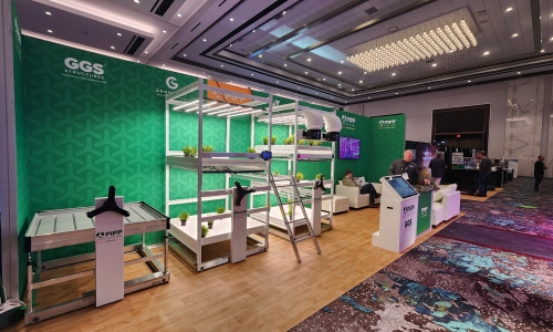 Ohio recreational marijuana sales top $242 million by end of 2024