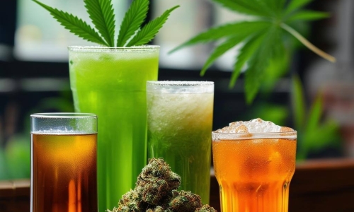 Study Examines Shifting Trends in Daily Cannabis and Alcohol Use for Adults in the US