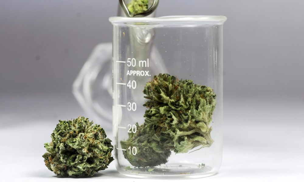 cannabinoids