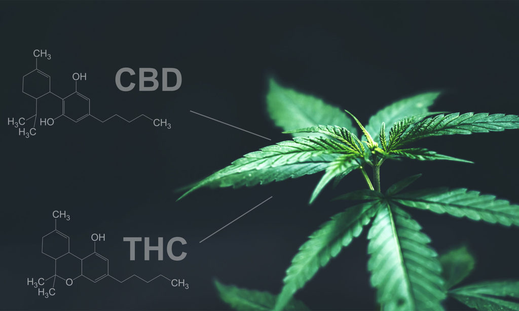 hemp-derived THC