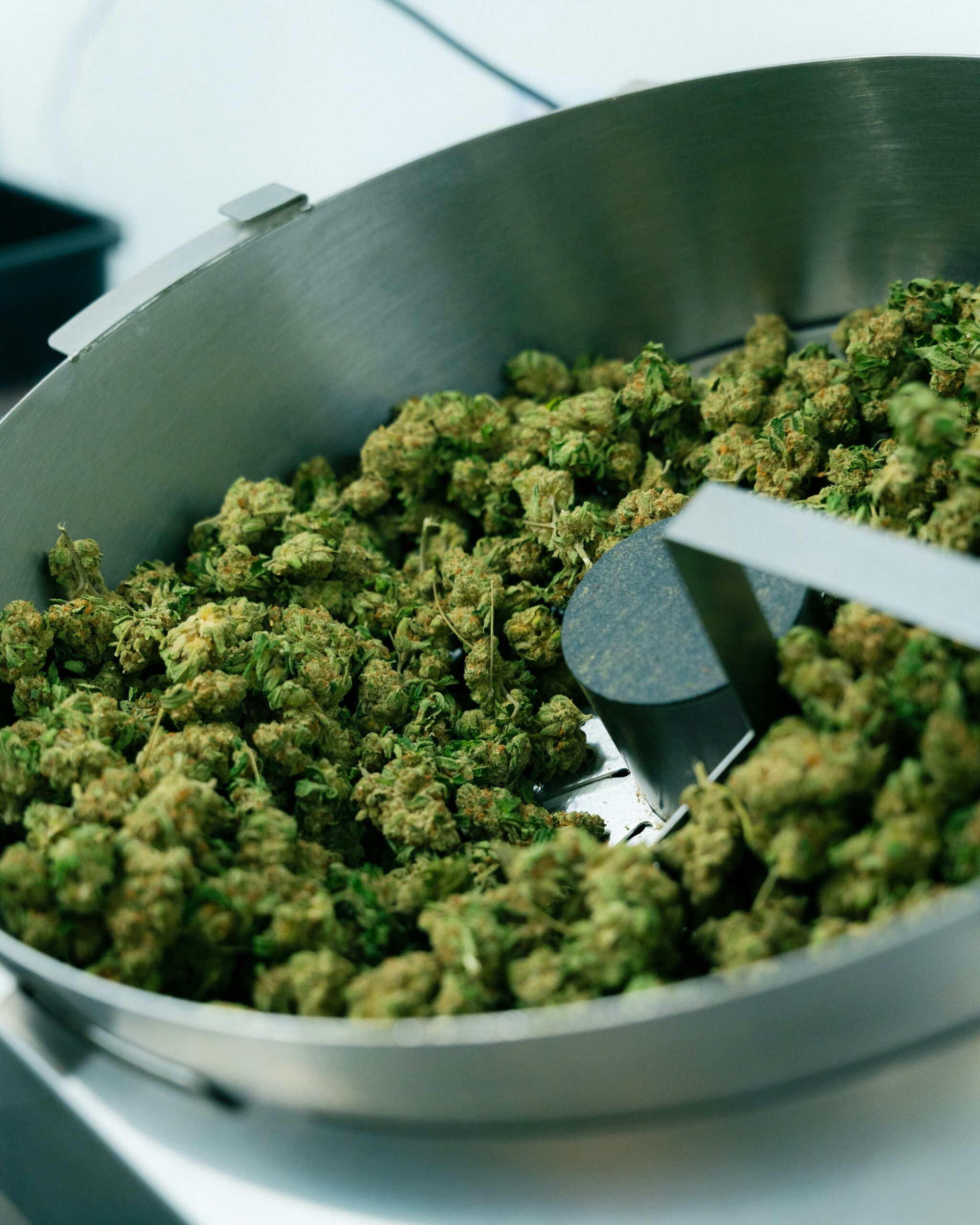 Bruce Stebbins: Future of Cannabis Commission