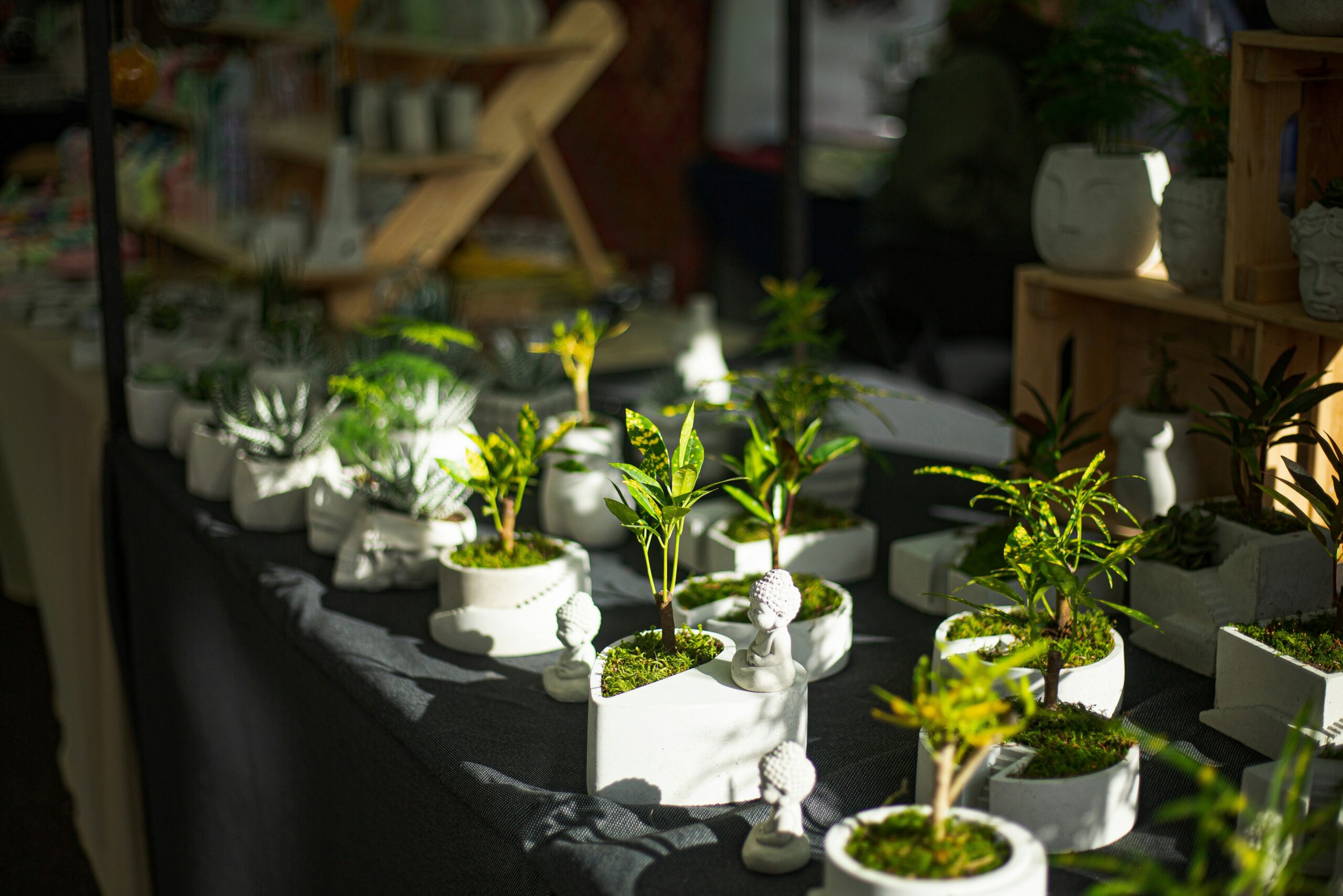 Frederick County Zoning For Cannabis Dispensaries