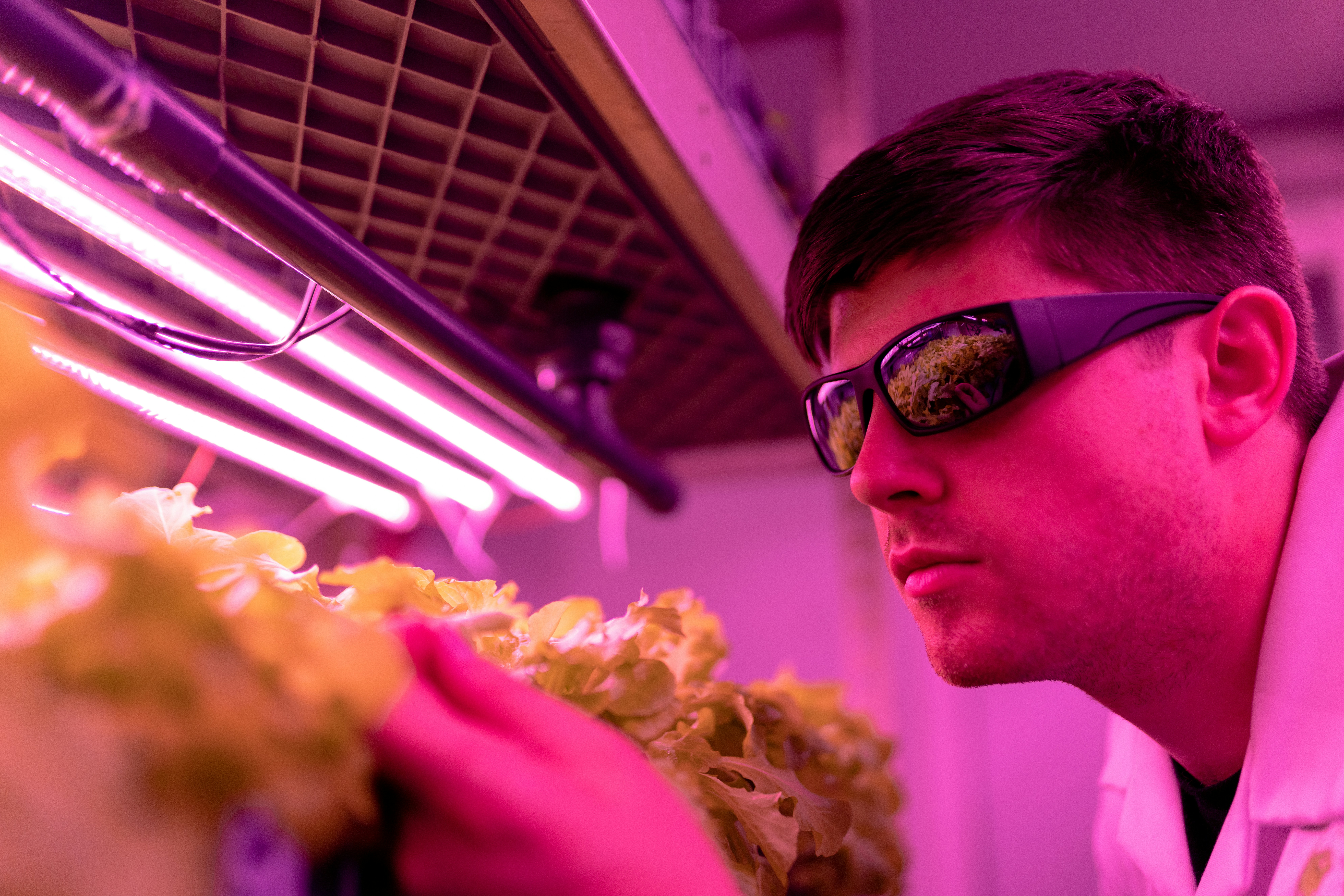 Technology Meets Cannabis: Innovation & Compliance
