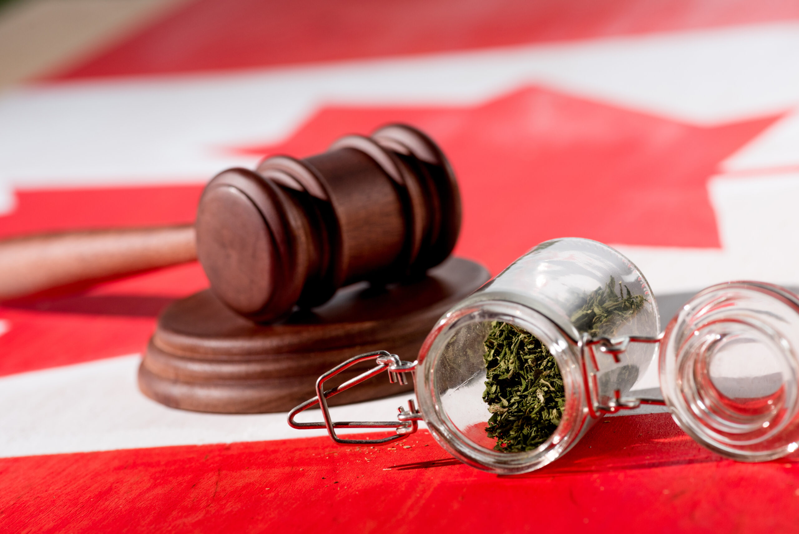 Canadians Push Carney: Cannabis Policy Overhaul!