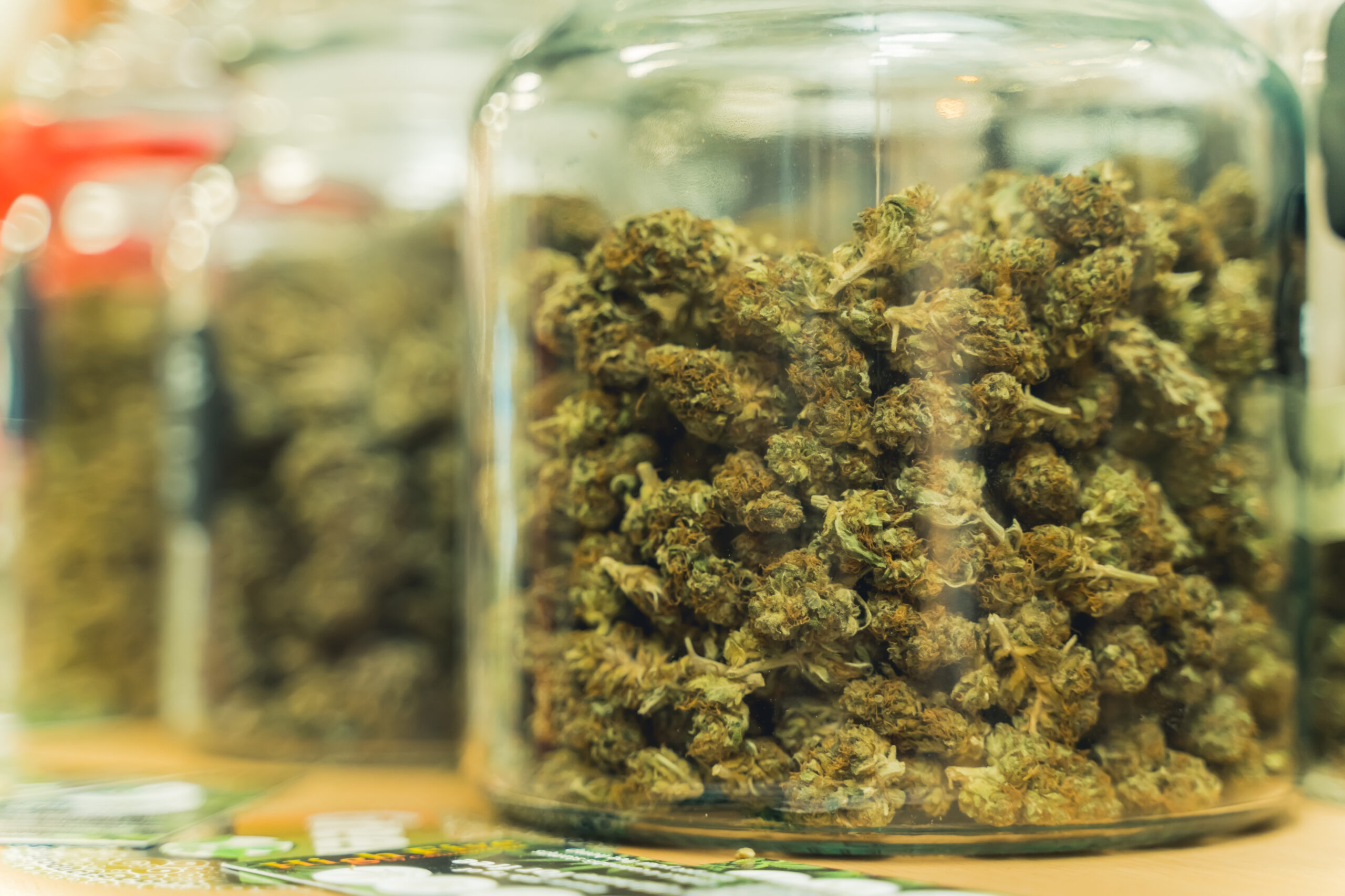 Trump DOJ Shocker | Quick TDR Cannabis Buzz
